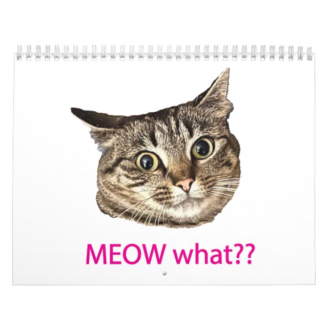 Calendario 2026 MEOW what?? Calendar (Tapa)