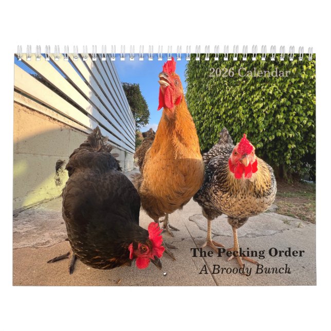 Calendario 2026 Neighborhood Chicken Calendar (Tapa)