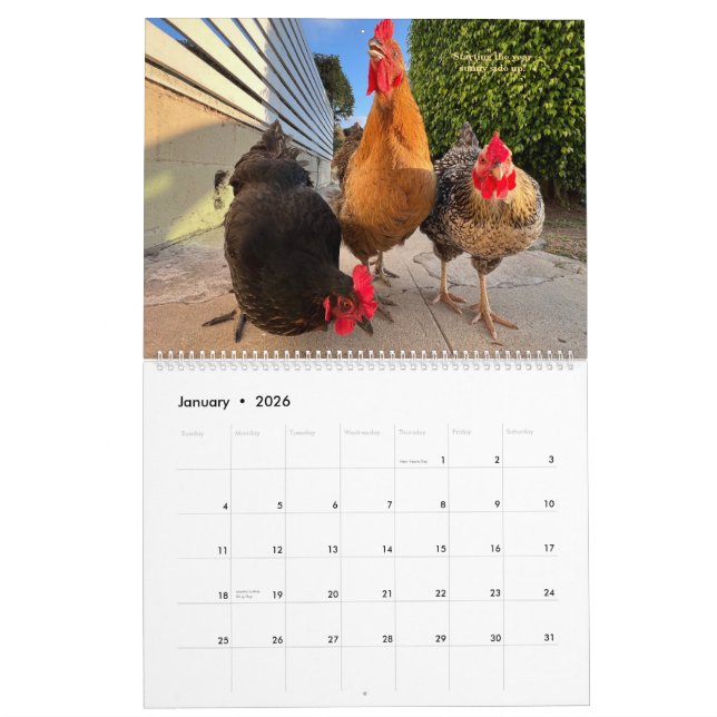 Calendario 2026 Neighborhood Chicken Calendar - Large (Jan 2026)