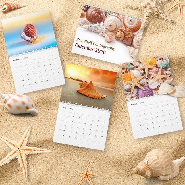 Calendario 2026 Sea Shell | Coastal  Shell Photography (Subido por el creador)