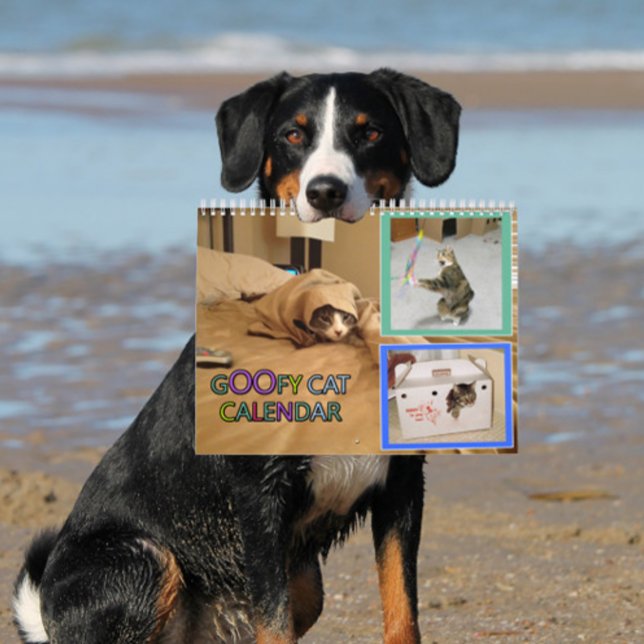 Calendario 2026 silly cat Calendar (woof)