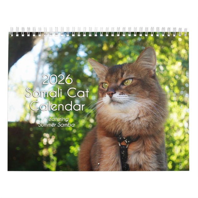Calendario 2026 Somali Cat Calendar Featuring Summer Samba (Tapa)