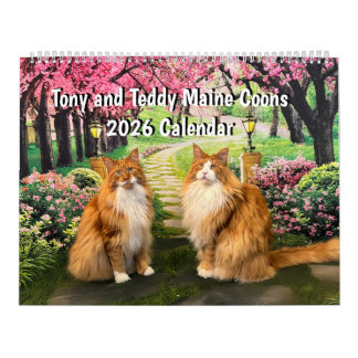 Calendario 2026 Tony and Teddy Maine Coons Calendar