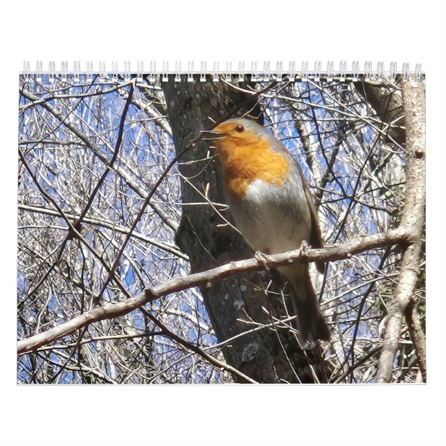 Calendario 2026 Travel Notes Calendar (Tapa)