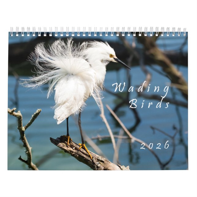 Calendario 2026 Wading Birds Original Photo Calendar (Tapa)