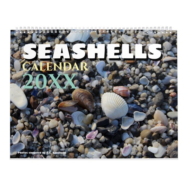 Calendario 2026 Wall Seashell Calendar Beach Shells Gift (Tapa)