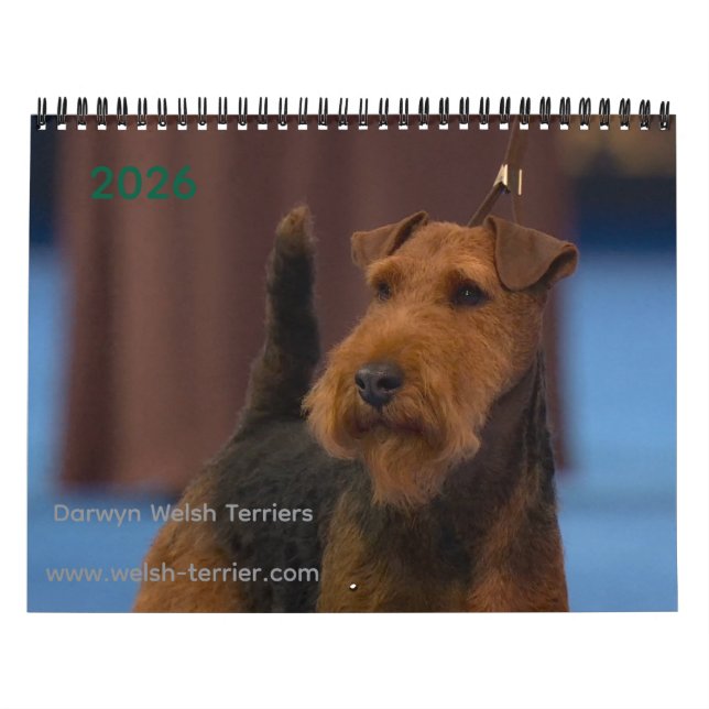 Calendario 2026 Welsh Terrier Calendar (Tapa)