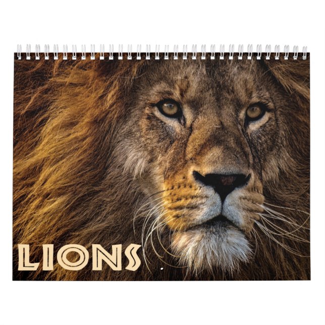 Calendario 2026 Wild Lions (Tapa)