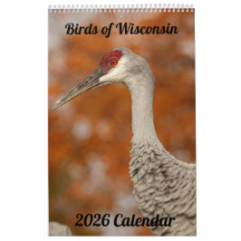 Calendario 2026 Wisconsin Birds Calendar