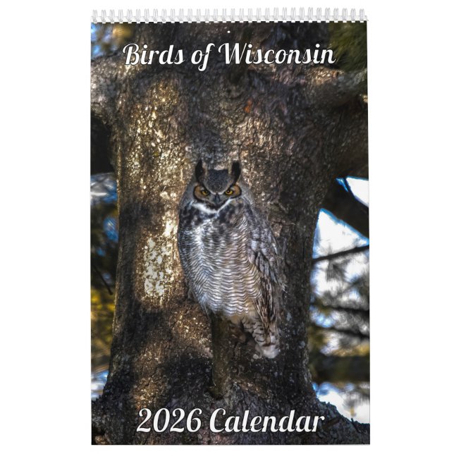 Calendario 2026 Wisconsin Birds Calendar (Tapa)