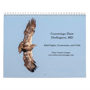 Calendario 2027 Águilas Calvas de la Presa Conowingo Vida S