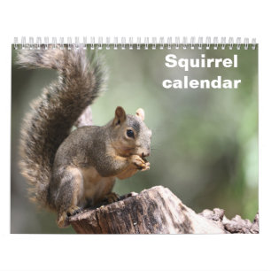 Calendario 2027 Ardilla
