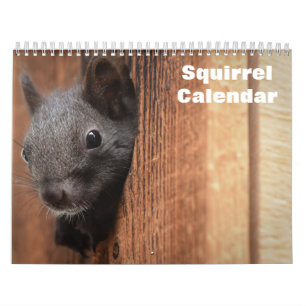 Calendario 2027 Ardilla