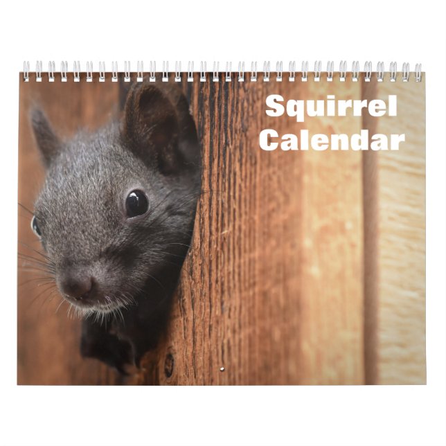 Calendario 2027 Ardilla (Tapa)