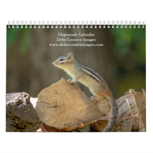 Calendario 2027 Ardilla de las Adirondack   Fotografía de Bos