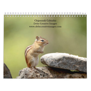 Calendario 2027 Ardillas de las Adirondack   Vida silvestre d