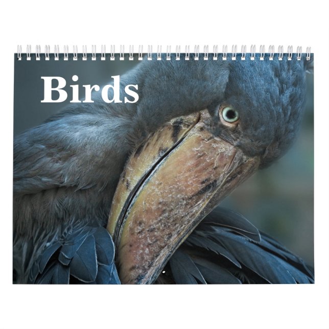 Calendario 2027 Aves (Tapa)