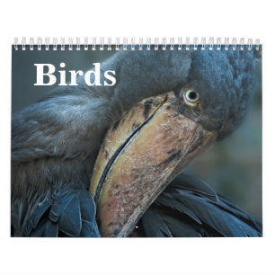 Calendario 2027 Aves