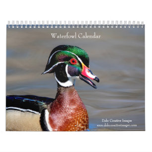 Calendario 2027 Aves acuáticas y de humedales Vida silvestr