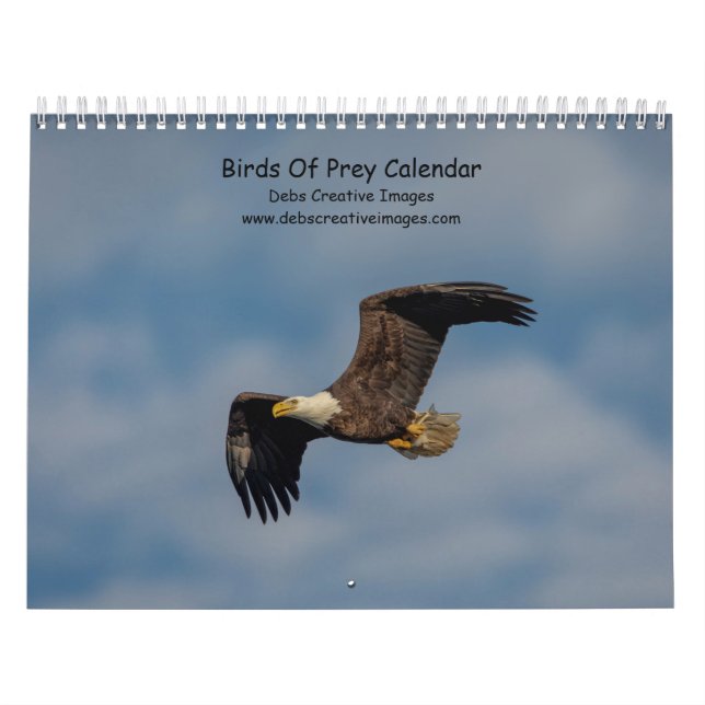 Calendario 2027 Aves de Presa | Rapaces de Norteamérica (Tapa)
