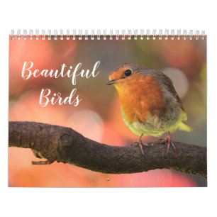Calendario 2027 Bellas Aves