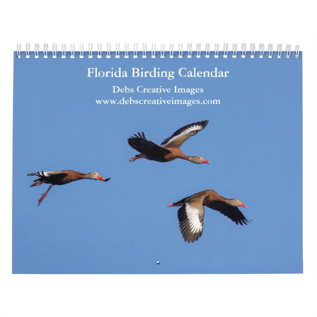 Calendario 2027 Bellas Aves de Florida | Fotos de Vida Silves (Tapa)