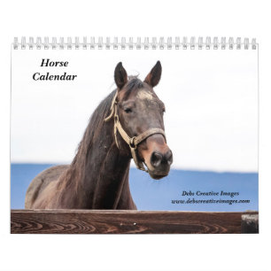 Calendario 2027 Caballos de Nueva York Fotografía Equina