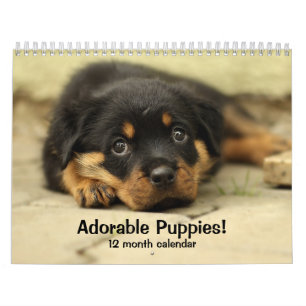 Calendario 2027 Cachorros Adorables Perro de Doce Meses