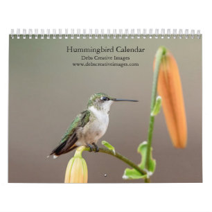 Calendario 2027 Colibríes Pequeñas Joyas de la Naturaleza