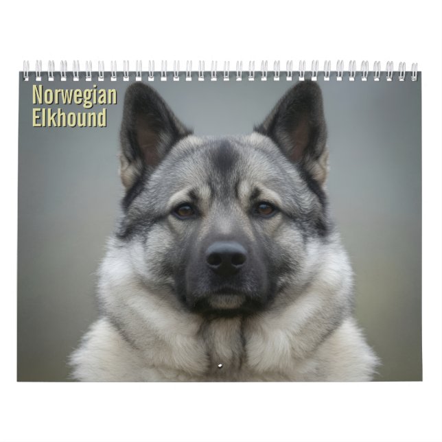 Calendario 2027 de Norwegian Elkhound en pared (Tapa)