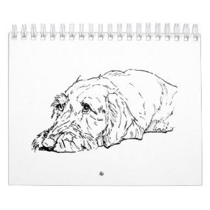 Calendario 2027 del Dachshund de Pelo Duro