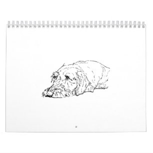 Calendario 2027 del Dachshund de Pelo Duro