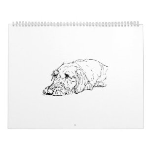 Calendario 2027 del Dachshund de Pelo Duro