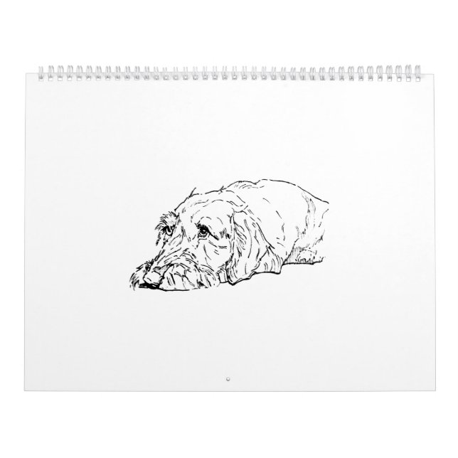 Calendario 2027 del Dachshund de Pelo Duro (Tapa)