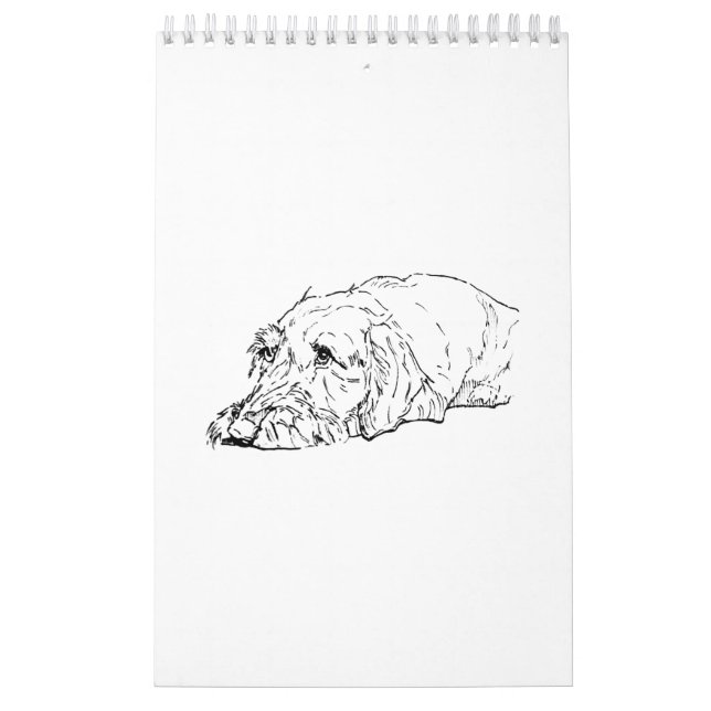 Calendario 2027 del Dachshund de Pelo Duro (Tapa)