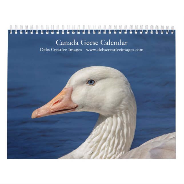 Calendario 2027 Gansos de Canadá | Fotografía de Vida Silvest (Tapa)