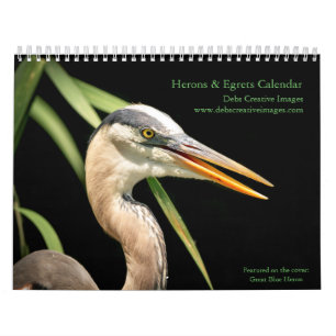 Calendario 2027 Garzas y Egrets Fotografía de Aves de Humed