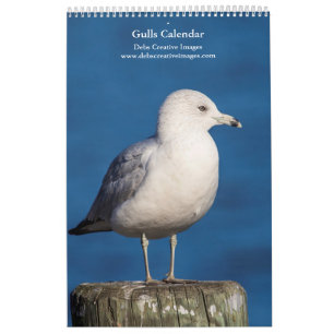 Calendario 2027 Gaviotas del río Hudson Fotografía de vida