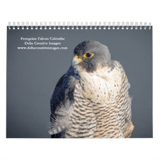 Calendario 2027 Halcón Peregrino | El Ave Más Rápida del Mund
