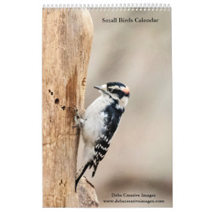 Calendario 2027 Hudson Valley Songbirds   Fotografía de Vida 