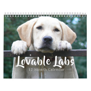 Calendario 2027 Labrador Retriever Perro Adorable