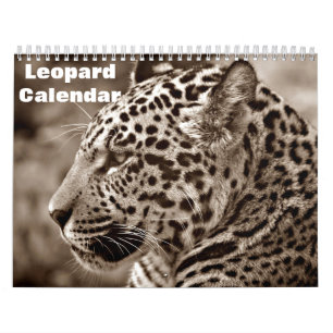Calendario 2027 Leopardo
