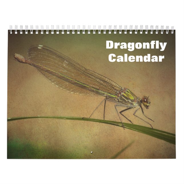 Calendario 2027 Libélula (Tapa)