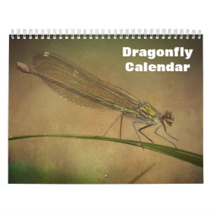 Calendario 2027 Libélula