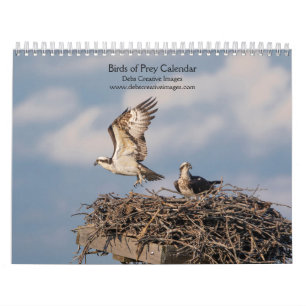 Calendario 2027 Majestuosos Raptores Aves de Presa