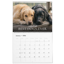2027 Mejores Perros Crea Tu Propia Foto Mascota
