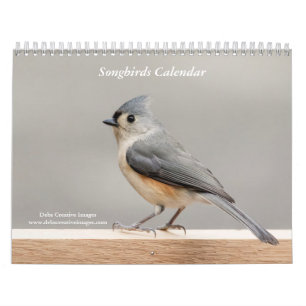 Calendario 2027 Pájaros Cantores de Jardín Valle del Hudson