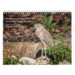 Calendario 2027 Parque Estatal de Vida Silvestre Homosassa Sp