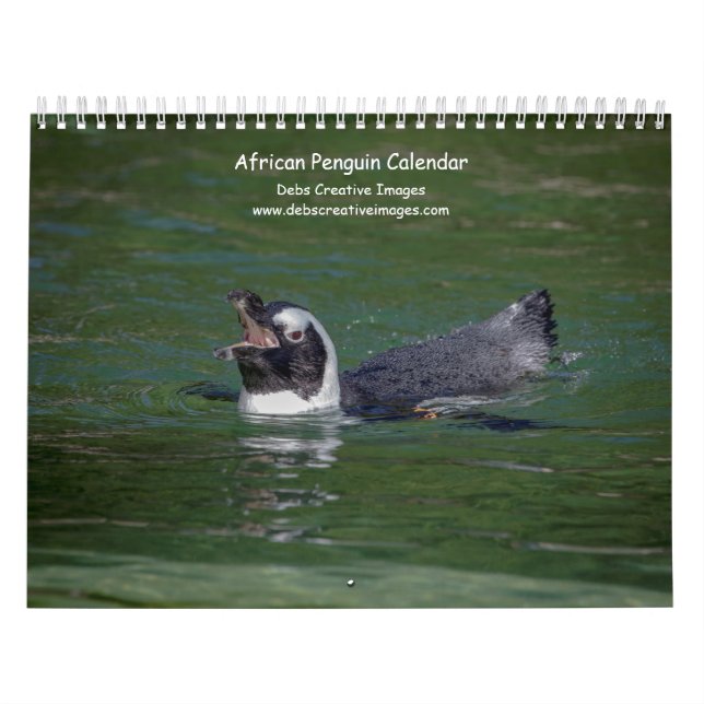 Calendario 2027 Pingüinos Africanos | Vida Silvestre Sudafric (Tapa)