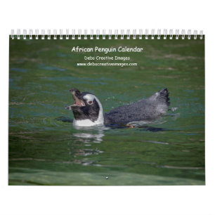 Calendario 2027 Pingüinos Africanos Vida Silvestre Sudafric